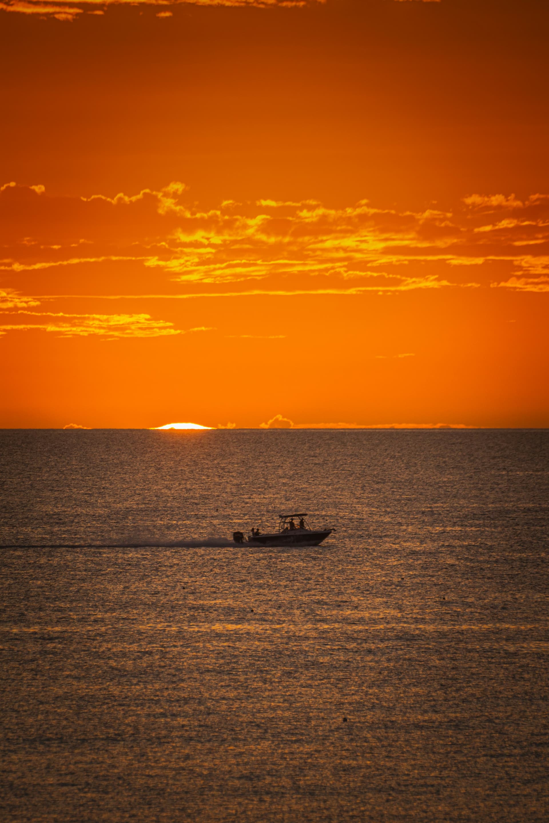 Boat Tours
