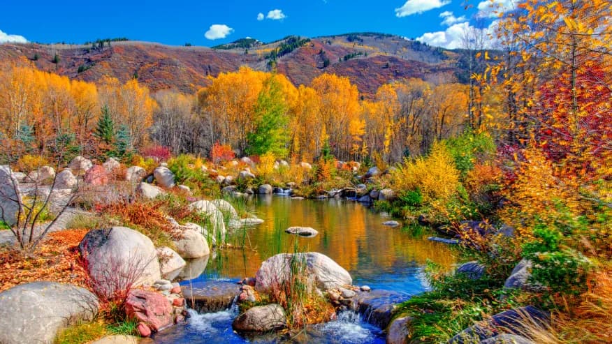 Fall Foliage and Fireplaces: Cozy Vacation Rentals in Colorado Springs for Autumn Romance